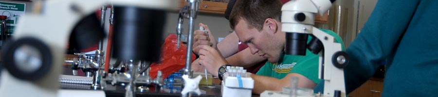 Department of Biology