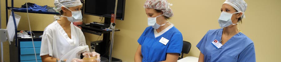 RN to BSN Completion Program