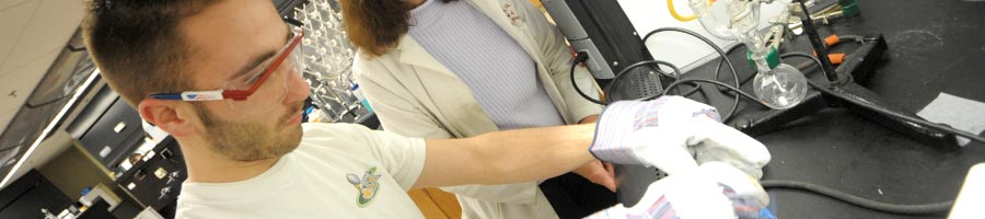 Pre-Professional Studies: Health Professions