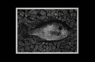 <em>Art Gallery:</em> Steve Halla Exhibit