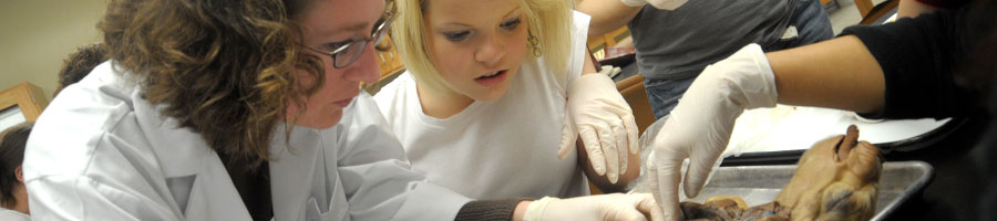 Dr. Gruenke helps students with a lab assignment.