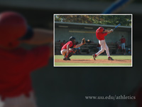 Bulldog Baseball