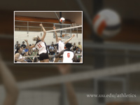 Lady Bulldog Volleyball