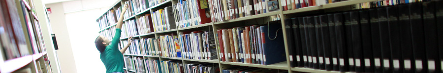 Emma Waters Summar Library