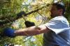 History professor Keith Bates hammers in a long piece of rebar to hold a bog bridge at Pinson Mounds in place during Day of Remembrance.   - Photo by Kristi McMurry