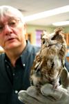 11/14/08 - Biology professor James Huggins gives a presentation on the rescued owl that the Biology department takes care of.  Art students were the attendees of the presentation. - Kristi McMurry