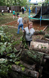 5/5/03 - Kathleen Lokey, a freshman from Columbia, TN and eight other Union students assisted Jackson resident and Union alumnae Dianne Payne with the removal of downed trees in her yard.