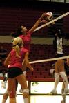 08/240/09 - Marcela Madeira jumps for the ball during the women's volleyball game on against Brescia (Ky.).