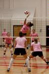 10/13/09 - Marcela Madeira junior goes up for the hit against Freed during the Lady Bulldog Volleyball vs. Freed Hardeman University game (ACS Dig Pink Night) on  October 13, 2009.  - Megan Bailey