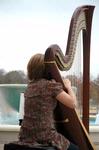 11/9/09 - Anna Wicker, junior music and Spanish major, plays the harp outside of Jennings Hall. - Beth Spain