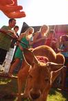 Students gather on the lawn of the Heritage complex to see a visiting baby kangaroo. - Photo by Abigail Harris