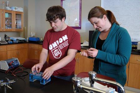 Students work on a biology experiment in lab. 