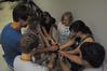 New Union students get to know each other through games with their Focus Groups. - Photo by Victoria Stargel