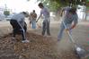 Students work together to do yard work at the Care Center during Campus and Community Day.  - Photo by Morris Abernathy