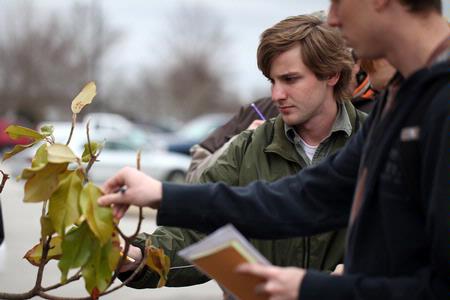 Micah Fern, senior conservation biology major, looks at the leaves of a magnolia tree during a field trip to the West TN Research & Education Center. 