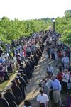 The graduates make their way to the Great Lawn for spring graduation.
 - Photo by Morris Abernathy