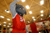 02/19/04 - Buster the Bulldog joins forces with the cheerleaders and the home crowd during basketball games. He can be found roaming around the gym, rousing the crowd and playing with children.
