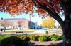 The Bowld Student Commons can be seen through the gorgeous Autumn trees on campus.  - Photo by Ebbie Davis