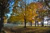 Fall colors greeted Homecoming guests as they arrived on campus Saturday morning. - Photo by Morris Abernathy