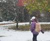 Winter strikes the Union campus as November comes to an end. Students make their way to class while the snow falls. - Photo by Morris Abernathy