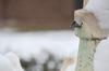 The snow gives a cold winter look to the everything outside of the Penick Academic Complex. - Photo by Morris Abernathy