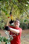 11/6/12 - Meghan Aranda, freshman mathematics major, chops down stray  branches while working for Campus and Community Day.  - Ebbie Davis