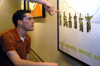Junior Adam Houston investigates the details in Drew Porter's senior art show. - Photo by Lindsay Stavish