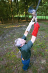 9/5/02 - Dr. James A. Huggins, University Professor of Biology and Biology Department Chair, is currently working with eighteen Mississippi kites to reintroduce them back into the wild.