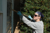 Senior Adam Winters washes shutters and windows at Birth Choice during Day of Remembrance. - Photo by Amanda Herron