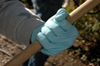 Blue gloves were a symbol of hard work during this year's Day of Remembrance. - Photo by Amanda Herron
