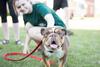 05/122/17 - Buster the Bulldog supervises the events during Residence Life Field Day.