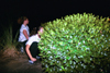 08/26/02 - Freshmen get into the action at Union by participating in the annual FOCUS capture the flag game during New Student Orientation 2002.