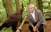04/30/05 - Dr. James Huggins interacts with Aiko, an 18 year old golden eagle, who is housed at Cypress Grove Nature Park.