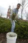Dustin Curtis weeded flower beds on campus during Day of Remembrance. - Photo by Kathleen Murray