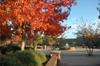 A fall day at the fountain behind the Penick Academic Center. - Photo by Brad Moore