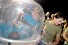 Rachel Melton reaches for cotton candy while Jenny Buffington waits during the annual Howdy Party, where students welcome each other back to school following summer break. - Photo by Brad Moore