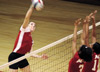 11/311/02 - Allison Shein spikes one over Martin Methodist in their game on November 7. 