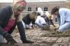 Stephie Glass, Blake Waggoner and others clear weeds from the walkway outside of The Care Center located near downtown Jackson during Day of Remembrance. - Photo by Kyle Kurlick