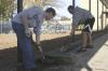 Freshman Alex Ayris helps Junior Brian Burns clean up the playground sidewalk at Alexander Magnet Elementary School during Day of Remembrance. - Photo by Stephanie Schroeder
