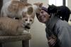 Sydney Toland plays with cats at the Jackson Madison County Humane Society during Day of Remembrance. The society is always looking for people to come out to spend time and play with the animals. - Photo by Kyle Kurlick