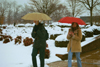 Seniors Erin Freshwater and Robin Armstrong walk cautiously to class in the unexpected snowfall. - Photo by Lindsay Stavish