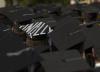 Students showed their excitement about finally being able to graduate, some shouted and cheered, while others spelled out their glee. - Photo by Jordan Buie