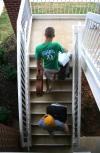 09/250/08 - Returning students Brandon Moore and Matt Pinckard carry their friend's things up the stairs of Watters 1 during move-in day.  