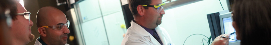 School of Pharmacy