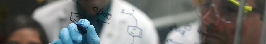 School of Pharmacy