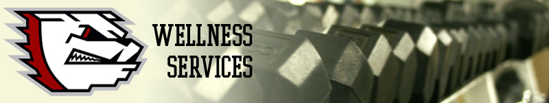 Wellness Services