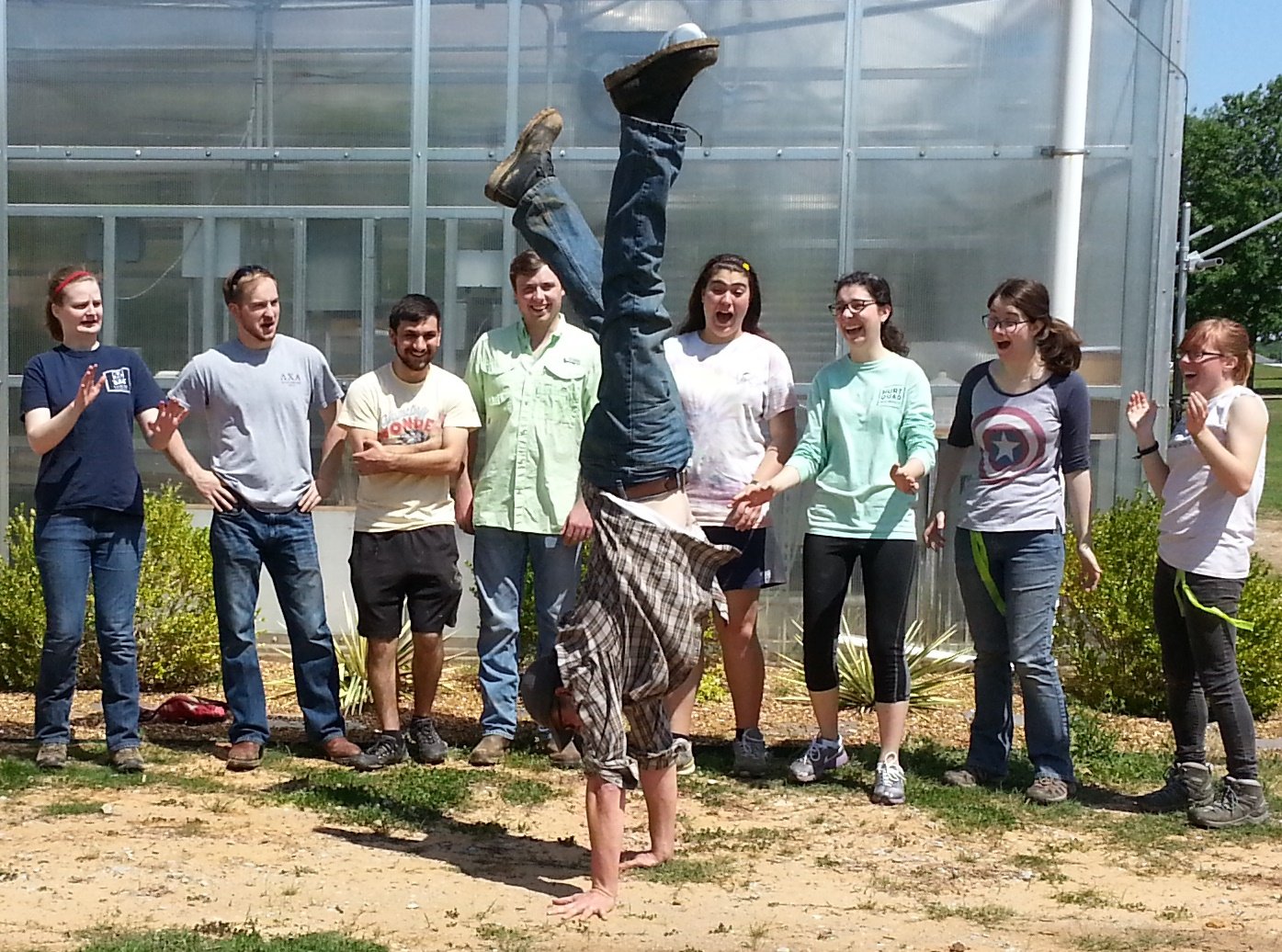 BIOME tree planting