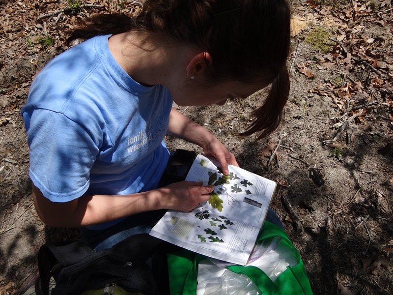 IDing plants.JPG