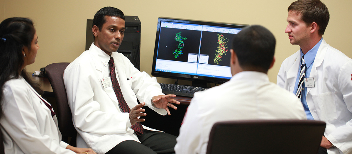 Undergraduate Studies at Union University