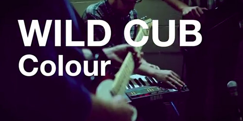 Watch Video: Wild Cub